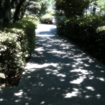 Thumbnail of post image 164