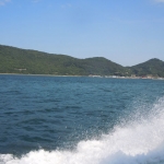 Thumbnail of post image 053