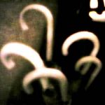 Thumbnail of post image 097