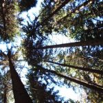 Thumbnail of post image 007