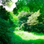 Thumbnail of post image 054