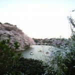 Thumbnail of post image 093
